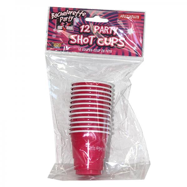 Girls Night Out Bachelorette Party Shot Glasses 12 Pack